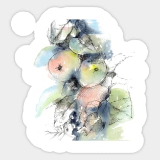 Watercolor apples Sticker